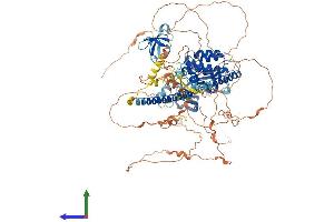 AlphaFold protein structure predicition of Human Recombinant MAP3K10 Protein, UniprotID Q02779