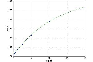 Family with Sequence Similarity 3, Member B (FAM3B) ELISA Kit