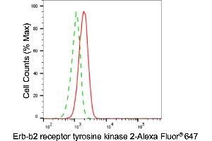 Flow cytometric analysis of Erb-b2 receptor tyrosine kinase 2 expression in H9c2 cells using Erb-b2 receptor tyrosine kinase 2 antibody (ABIN7800157), 1:2,000). (ErbB2/Her2 Antikörper)
