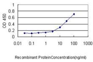 ELISA image for anti-Sestrin 2 (SESN2) (AA 1-481) antibody (ABIN466250) (Sestrin 2 Antikörper  (AA 1-481))