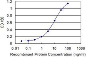 Detection limit for recombinant GST tagged IMPA1 is 0. (IMPA1 Antikörper  (AA 1-277))