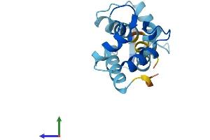 Protein Structure (PS) image for Calmodulin Like Protein 3 (CALML3) (AA 1-149) protein (His tag) (ABIN7552893)