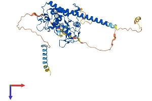 HS6ST3 Protein (AA 1-471) (His tag)
