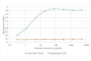 Binding curve of anti-TIGIT antibody 1B4 (ABIN7072547) to recombinant mouse TIGIT Fc-Fusion Protein. (Rekombinanter TIGIT Antikörper)