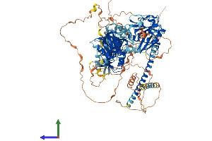 Protein Structure (PS) image for Signal-Induced Proliferation-Associated 1 (SIPA1) (AA 1-1037) protein (His tag) (ABIN7563270)