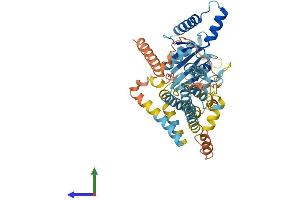 Protein Structure (PS) image for Immunity-Related GTPase Family, Cinema (IRGC) (AA 1-463) protein (His tag) (ABIN7548511)
