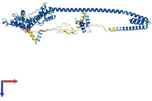 DNAJC2 Protein (AA 1-621) (His tag)