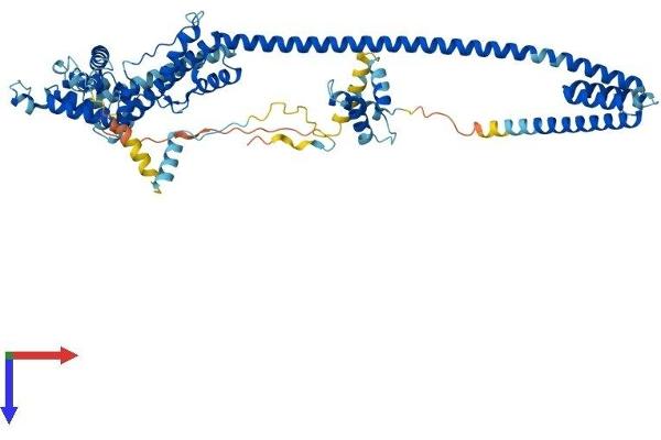 DNAJC2 Protein (AA 1-621) (His tag)