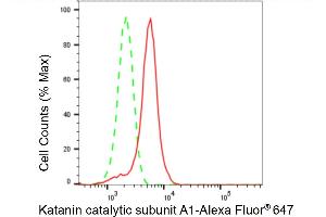 Flow cytometric analysis of Katanin catalytic subunit A1 expression in HeLa cells using Katanin catalytic subunit A1 antibody (ABIN7800946), 1:2,000). (Rekombinanter KATNA1 Antikörper)