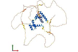 Protein Structure (PS) image for POU domain, class 2, transcription factor 2 (POU2F2) (AA 1-479) protein (His tag) (ABIN7550902)