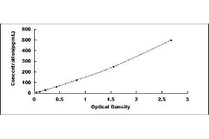 Typical standard curve (IL12 ELISA Kit)