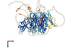 AlphaFold protein structure predicition of Mouse Recombinant C2cd5 Protein, UniprotID Q7TPS5