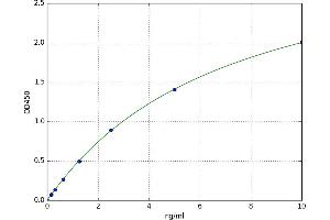 Protein Kinase, AMP-Activated, beta 1 Non-Catalytic Subunit (PRKAB1) ELISA Kit