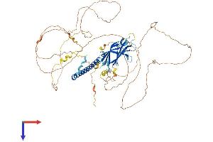 RAB11FIP5 Protein (AA 1-653) (His tag)
