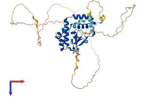 NFIB Protein (AA 1-420) (His tag)