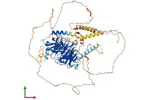 Protein Structure (PS) image for DDB1 and CUL4 Associated Factor 6 (DCAF6) (AA 1-860) protein (His tag) (ABIN7553622)