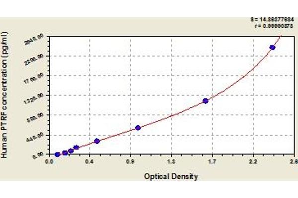 PTRF ELISA Kit