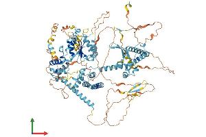 AlphaFold protein structure predicition of Human Recombinant CHTF18 Protein, UniprotID Q8WVB6