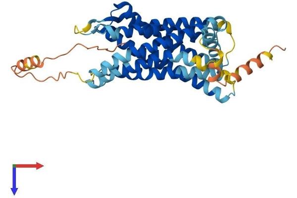 CXCR5 Protein (AA 1-374) (His tag)