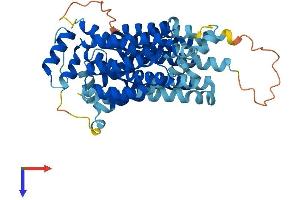 SLC2A8 Protein (AA 1-477) (His tag)