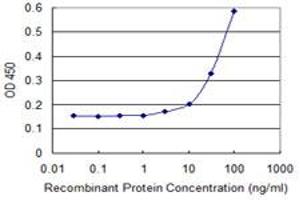 Detection limit for recombinant GST tagged RHOC is 3 ng/ml as a capture antibody. (RHOC Antikörper  (AA 1-193))