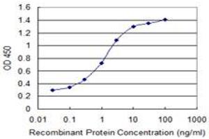 Detection limit for recombinant GST tagged IL23R is 0. (IL23R Antikörper  (AA 553-628))