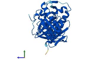 Protein Structure (PS) image for Inositol(myo)-1(or 4)-Monophosphatase 1 (IMPA1) (AA 1-277) protein (His tag) (ABIN7562466)