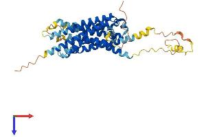 G Protein-Coupled Receptor 27 (GPR27) (AA 1-375) protein (His tag)