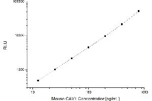 Typical standard curve (Caveolin-1 CLIA Kit)