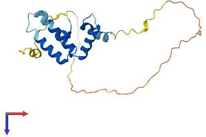 DNAJC12 Protein (AA 1-198) (His tag)