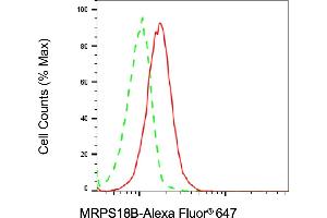 Flow cytometric analysis of MRPS18B expression in HT- cells using MRPS18B antibody (ABIN7799433), 1:2,000). (Rekombinanter MRPS18B Antikörper)