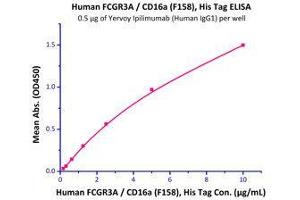 Immobilized Yervoy Ipilimumab at 5 μg/mL (100 μl/well) can bind Human FCGR3A / CD16a (F158), His Tag (Cat# CDA-H5220) with a linear range of 0.