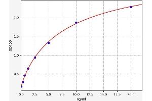 ARHGDIB ELISA Kit