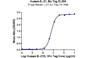 Immobilized Human IL-21, No Tag at 1 μg/mL (100 μL/well) on the plate. (IL-21 Protein)