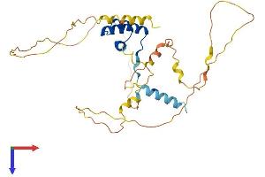 OTP Protein (AA 1-325) (His tag)