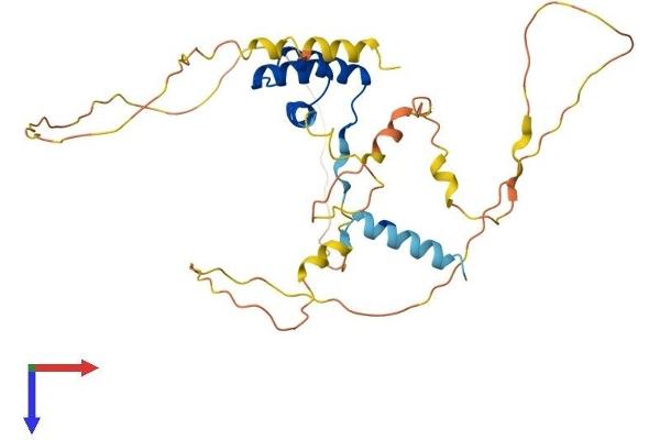 OTP Protein (AA 1-325) (His tag)
