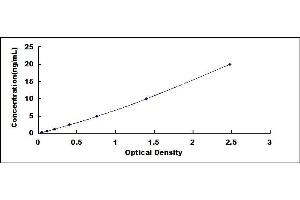 Typical standard curve (HCK ELISA Kit)