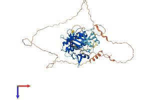 STK35 Protein (AA 1-539) (His tag)