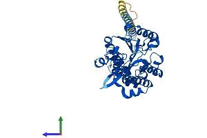 Protein Structure (PS) image for Heparan Sulfate 2-O-Sulfotransferase 1 (HS2ST1) (AA 1-356) protein (His tag) (ABIN7559733)
