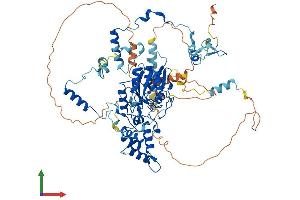 AlphaFold protein structure predicition of Human Recombinant GNL2 Protein, UniprotID Q13823