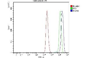 Flow Cytometry analysis of THP-1 cells using anti-ERp72/PDIA4 antibody (ABIN7602103). (PDIA4 Antikörper  (AA 59-544))