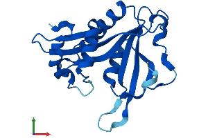 Protein Structure (PS) image for N-Acetyltransferase 5 (NAT5) (AA 1-178) protein (His tag) (ABIN7556587)