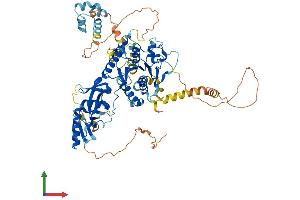 Protein Structure (PS) image for DDHD Domain Containing 2 (DDHD2) (AA 1-711) protein (His tag) (ABIN7553674)