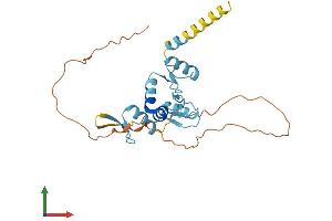 Protein Structure (PS) image for Ovo-Like 2 (OVOL2) (AA 1-275) protein (His tag) (ABIN7550588)