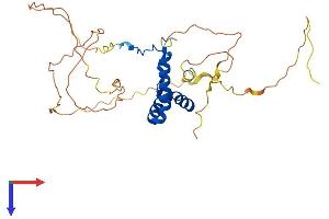 SOX2 Protein (AA 1-319) (His tag)