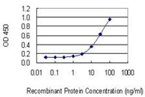 Detection limit for recombinant GST tagged MAST2 is 0. (MAST2 Antikörper  (AA 688-792))