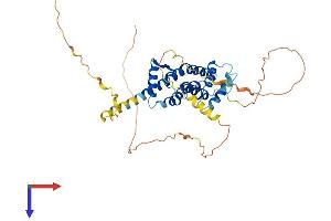 PRR5L Protein (AA 1-370) (His tag)