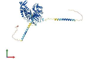 Protein Structure (PS) image for Ectonucleoside Triphosphate diphosphohydrolase 4 (ENTPD4) (AA 1-613) protein (His tag) (ABIN7561301)