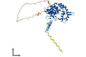 Protein Structure (PS) image for Heparan Sulfate (Glucosamine) 3-O-Sulfotransferase 3A1 (HS3ST3A1) (AA 1-393) protein (His tag) (ABIN7558724)