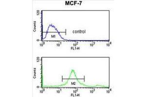 SUMO1 Antibody flow cytometry analysis of MCF-7 cells (bottom histogram) compared to a negative control cell (top histogram). (SUMO1 Antikörper)